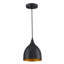 Mini-luminaire suspendu 1 lumière au fini noir mat avec intérieur doré