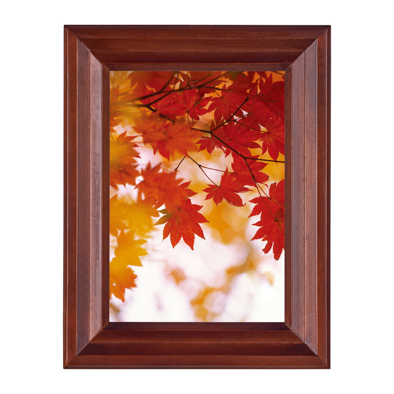 Cadre photo simple en bois d'acajou mat 8 "x 10" Pamila