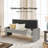 Anthonique 55.1'' W Modern Tufted Upholstered Storage Bench-1584528230