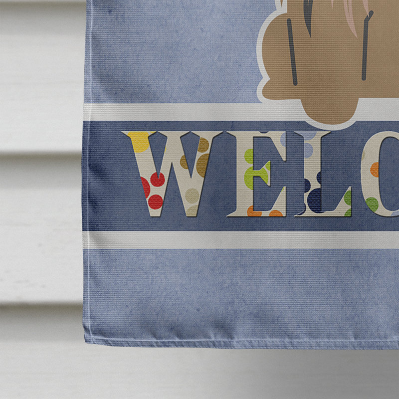 Polyester 2 côtés 40 x 28 po welcome drapeau maison, Pékinois brun clair assis