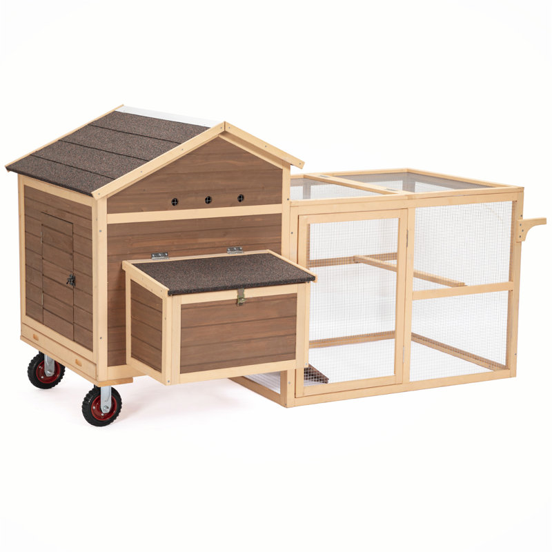 Darrant 50 Square Feet Chicken Coop with Nesting Box For Up To 15 Chickens