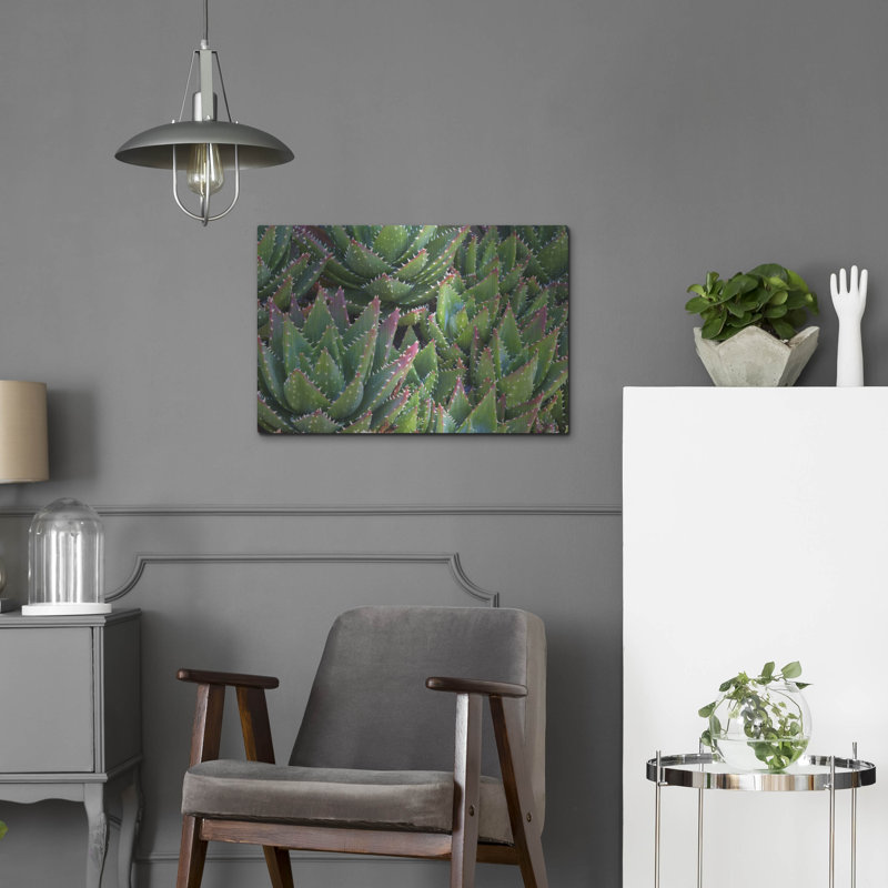 «Succulents II» par Dennis Frates, H 16 po x l 24 po