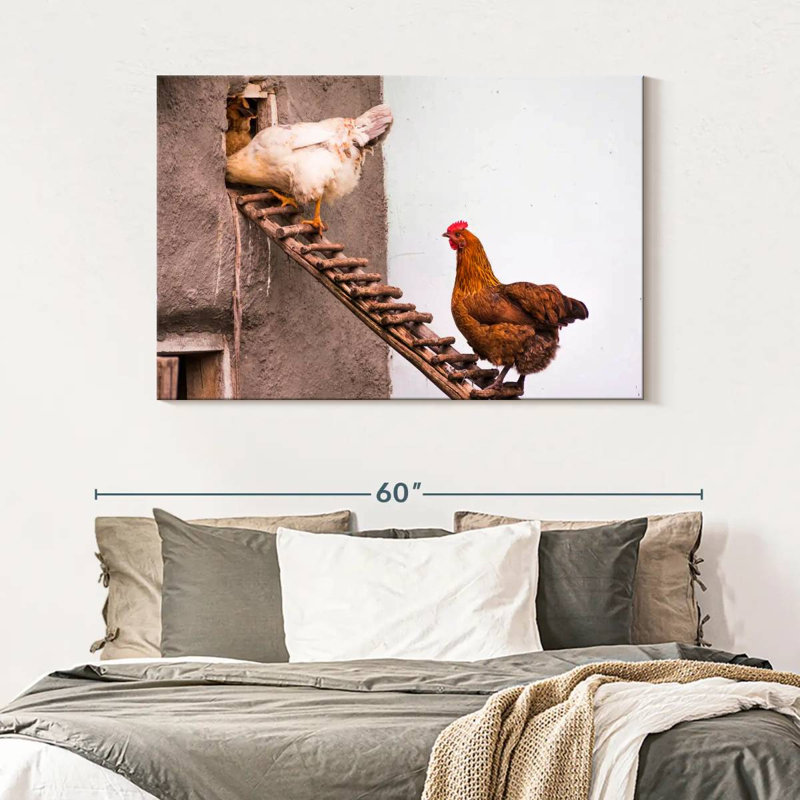 Brampt Chicken Coop, 32" H x 48" W