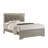Marucci 5-1_Jehanna Panel Bedroom Set-1648233538