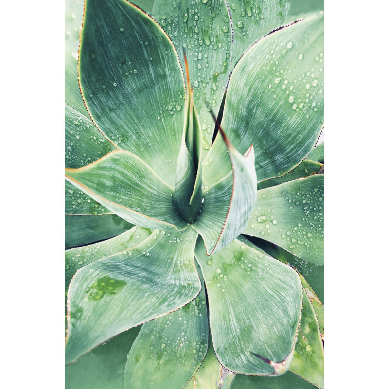 Vert succulent tropical vert I, H 18 po x l 12 po x P 1,25 po