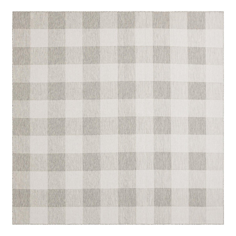 Tereon Checkered Machine Made Power Loom Polypropylene Plastic Indoor/Outdoor Area Rug in Gray