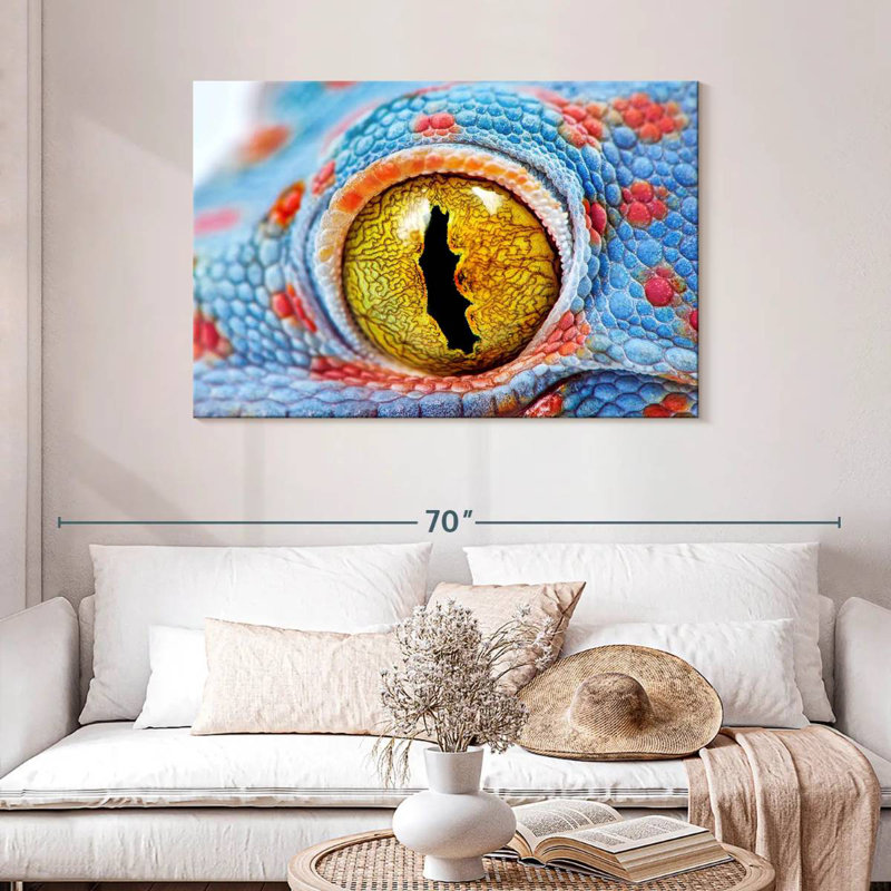 Brampt Tokay Gecko Eye