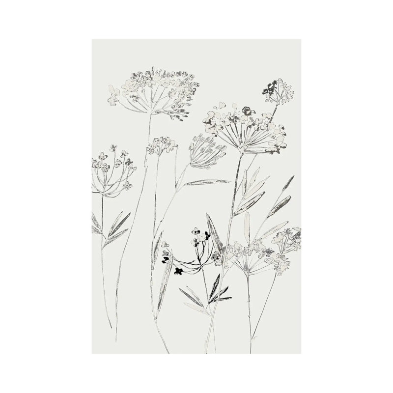 White Delicate II by Asia Jensen - Gallery-Wrapped Canvas Giclée on Canvas, 20.32 cm H x 30.48 cm W, Wrapped Canvas