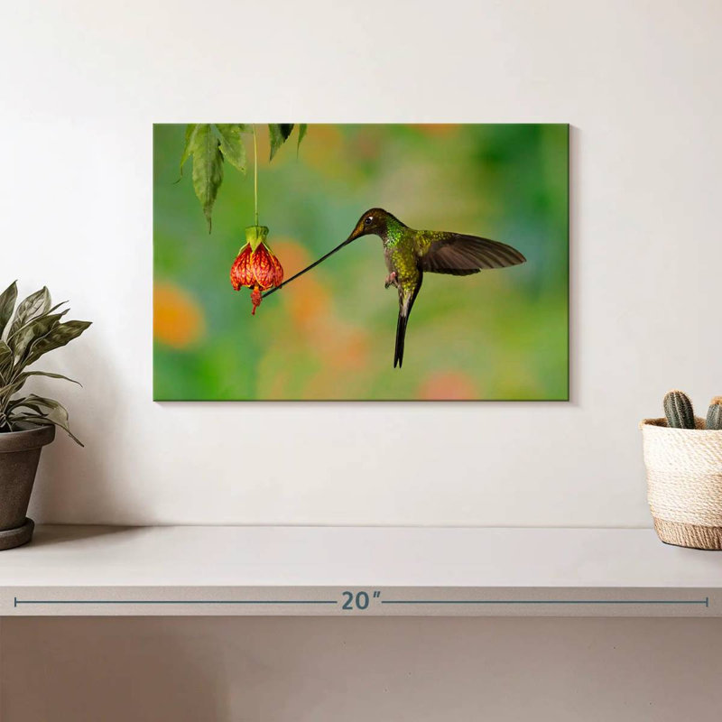Hummingbird Eating Nectar, 8" H x 12" W