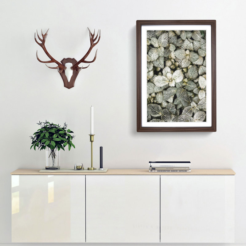 Plant Leaves Abstract - Single Picture Frame Print on MDF, Walnut Framed, 45cm H x 33cm W x 2cm D