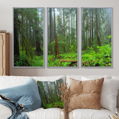 " Hoh Rain Forest " 3 - Pieces