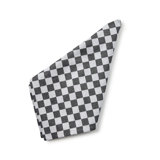 Flax Check Napkin, Set Of 4