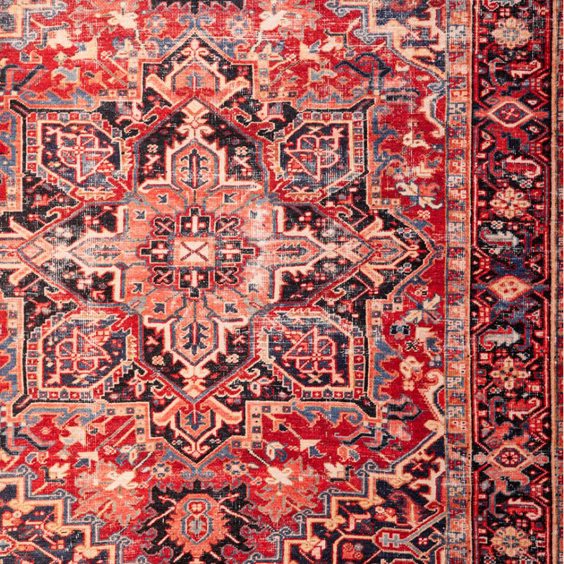 Larrick Machine Washable Heriz Boho Powerloomed Rug, Rectangle 7'6" x 9'6"