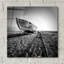 «Ship Wreck II» par Nina Paponcek, art mural en verre acrylique-121456632