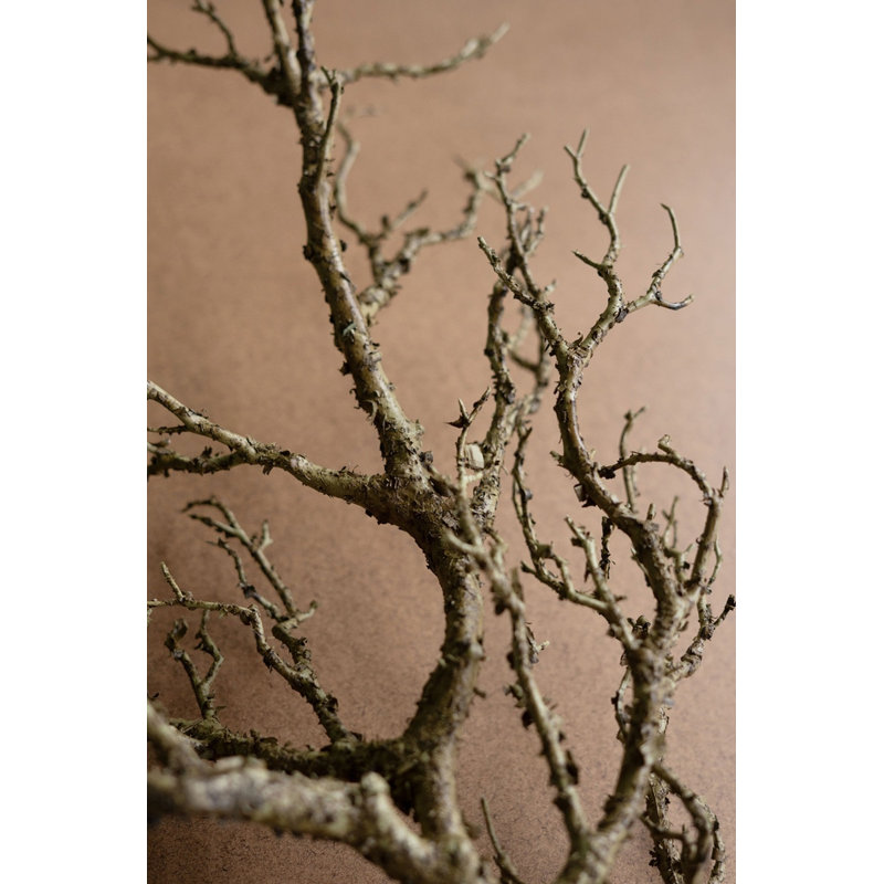  Branche de bois mort artificiel pour la décoration intérieure - tige décorative rustique, 31 po