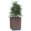 Ornela Planter Box-1967055989-1967055984