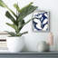 Blue Eucalyptus II, reproduction encadrée sur papier-97822064-97822056-97822053