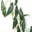 110cm Faux Plant