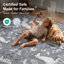 Tapis lavable pour animaux avec envers antidérapant Goldene Morris Woodland-1736297999