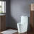 1.6 GPF Elongated One-Piece Toilet (Seat Included)