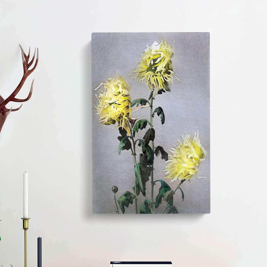 Yellow Chrysanthemum Flowers by Ogawa Kazumasa - Wrapped Canvas