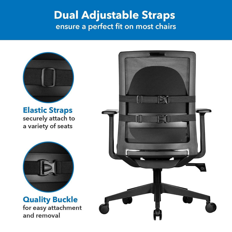Ergo Collection Lumbar Support