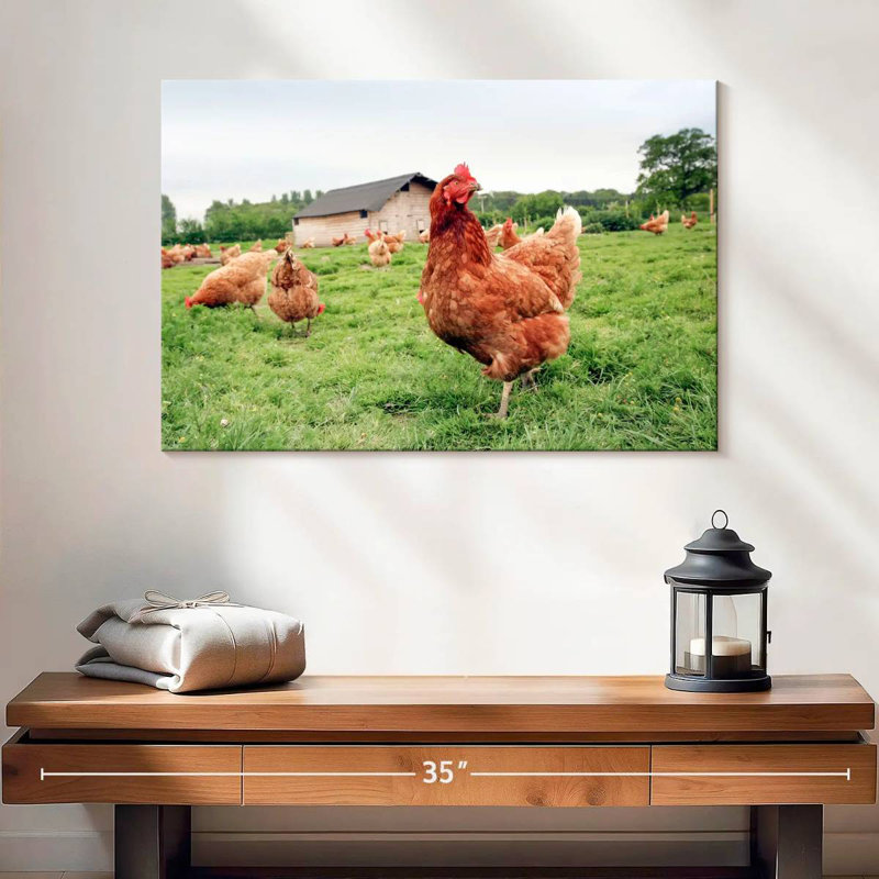 Poulet à la ferme, H 16 po x l 24 po