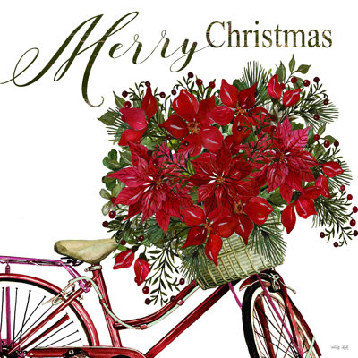 Vélo poinsettia 2885786
