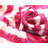 Silk/Velvet Throw Square Pillow Cover & Insert-385108632