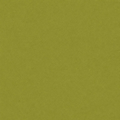 Velvet Performance Fabric By The Yard | 100% Cotton | Belgium