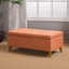 Home Decor, banc de repose-pieds capitonné avec couvercle à charnière Ainsley, banc de repose-pieds avec rangement pour le salon et la chambre à coucher, pieds en bois massif-1431264699