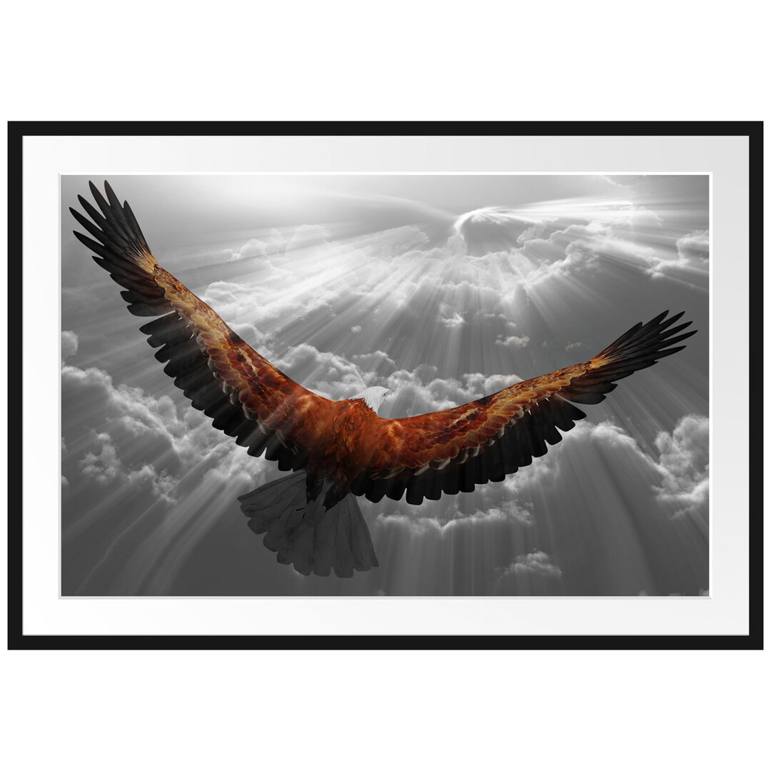 Anmutiger Adler über den Wolken Gerahmter Fotokunstdruck Poster