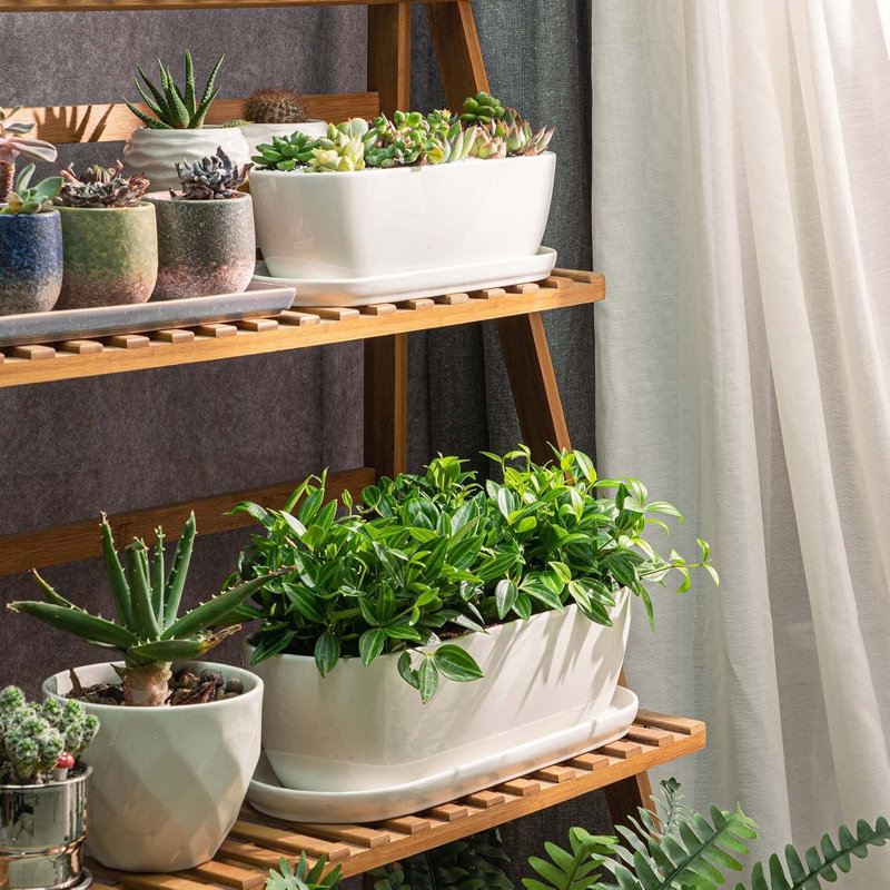 Pots à plantes en céramique, 11 + 14 pouces, ensemble de 2, pots à fleurs avec trous de drainage et soucoupes