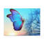 No Frame Print on Canvas