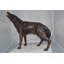 Statue en bronze de loup hurlant Jorgenson - Taille: L 40 po x l 10 po x H 32 po.