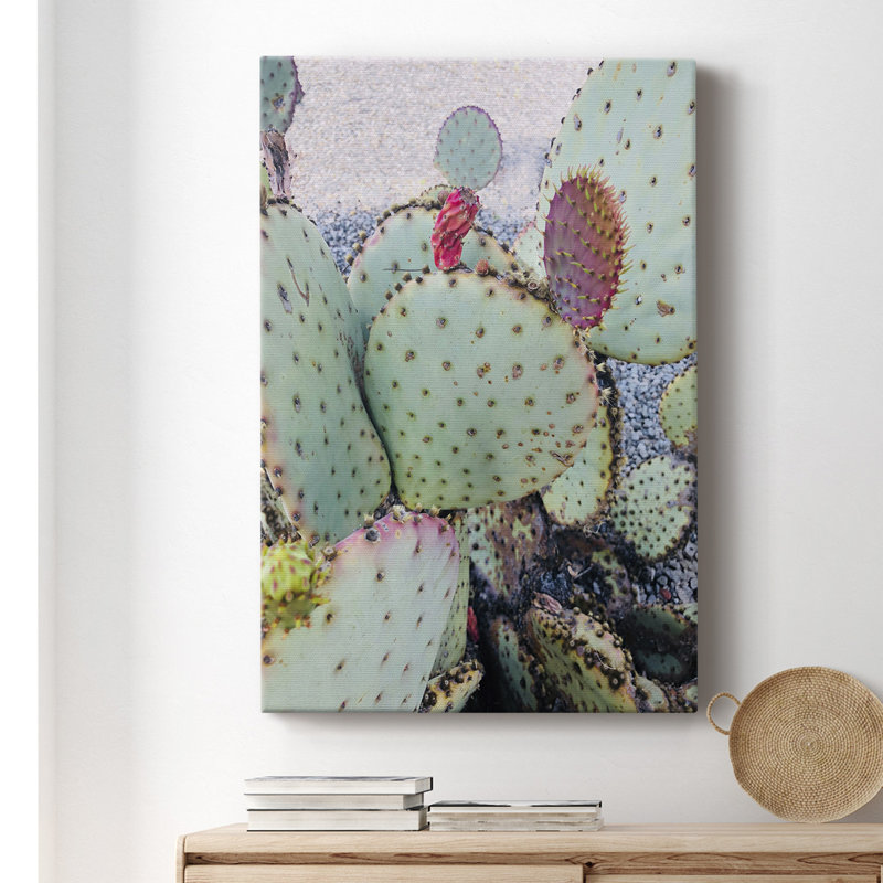 Cactus rose vert II - photographie sur toile tendue, H 36 po x l 24 po x P 1,5 po