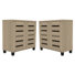 Lismore 2-Door Shoe Storage Cabinet (Set Of 2) – Holds 24 Pairs
