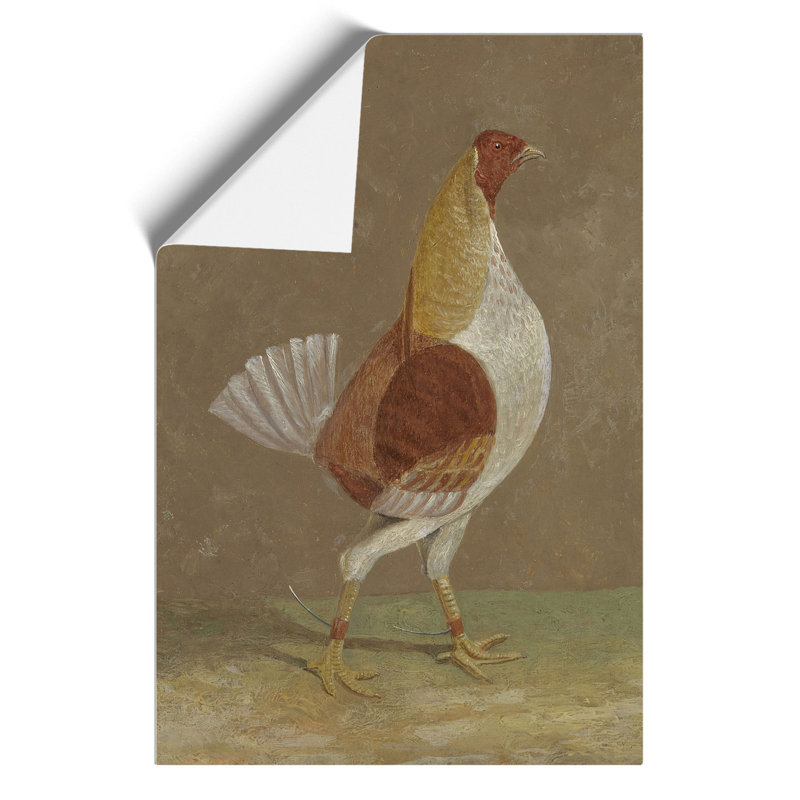 Fighting Cock Vol.2 by John Frederick Herring - No Frame Painting, 42cm H x 30cm W x 0.1cm D