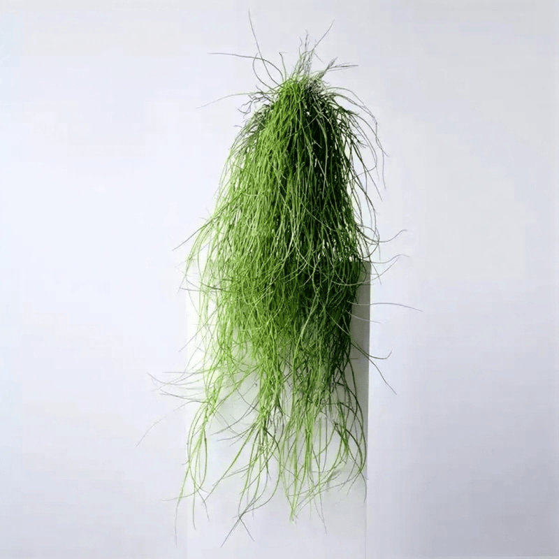 Branche de roseau en cascade - 37,4 po, Fresh Green, [A] 1 Stem