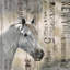 Housse de couette cheval rustique blanc