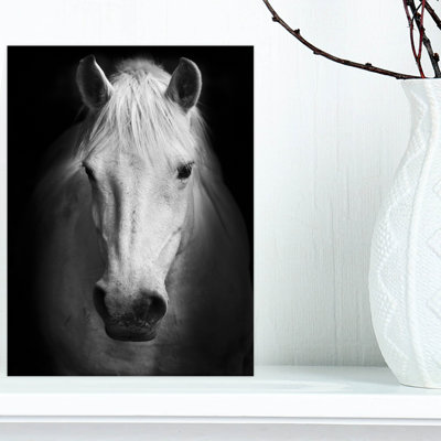 Cheval, reproduction d'art sur toile, cheval noir et blanc