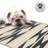 Outdoor Rug Plastic Straw Rug Waterproof Patio Joezette Natural & Black-1004998342