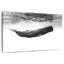 Cachalot I-297800139