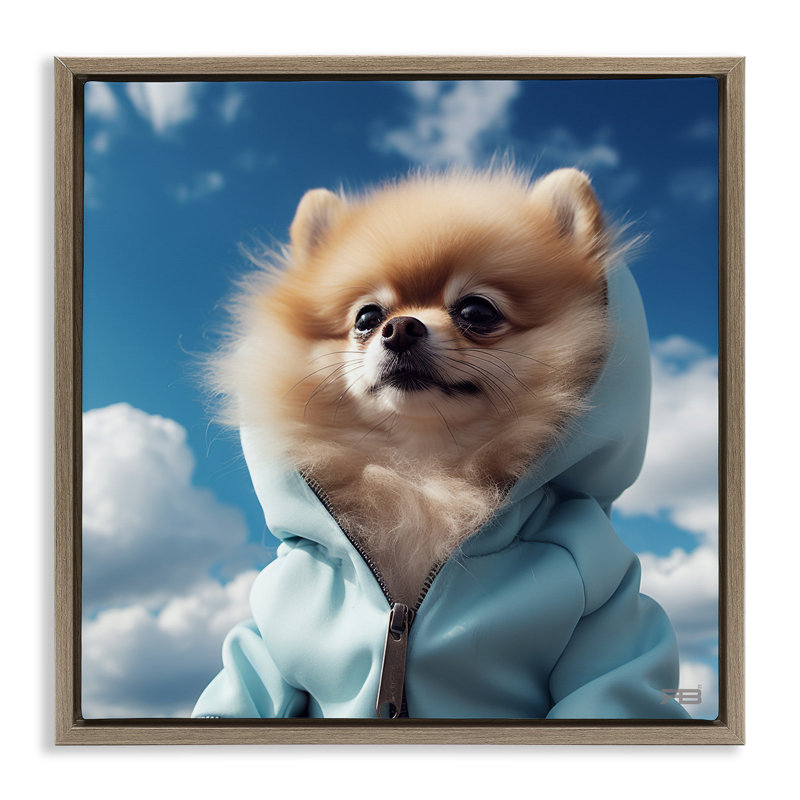 «Pomeranian Dog & Clouds», encadrée dorée sur toile flottante par Roozbeh Bahramali, Cadre flottant orme Montalcino