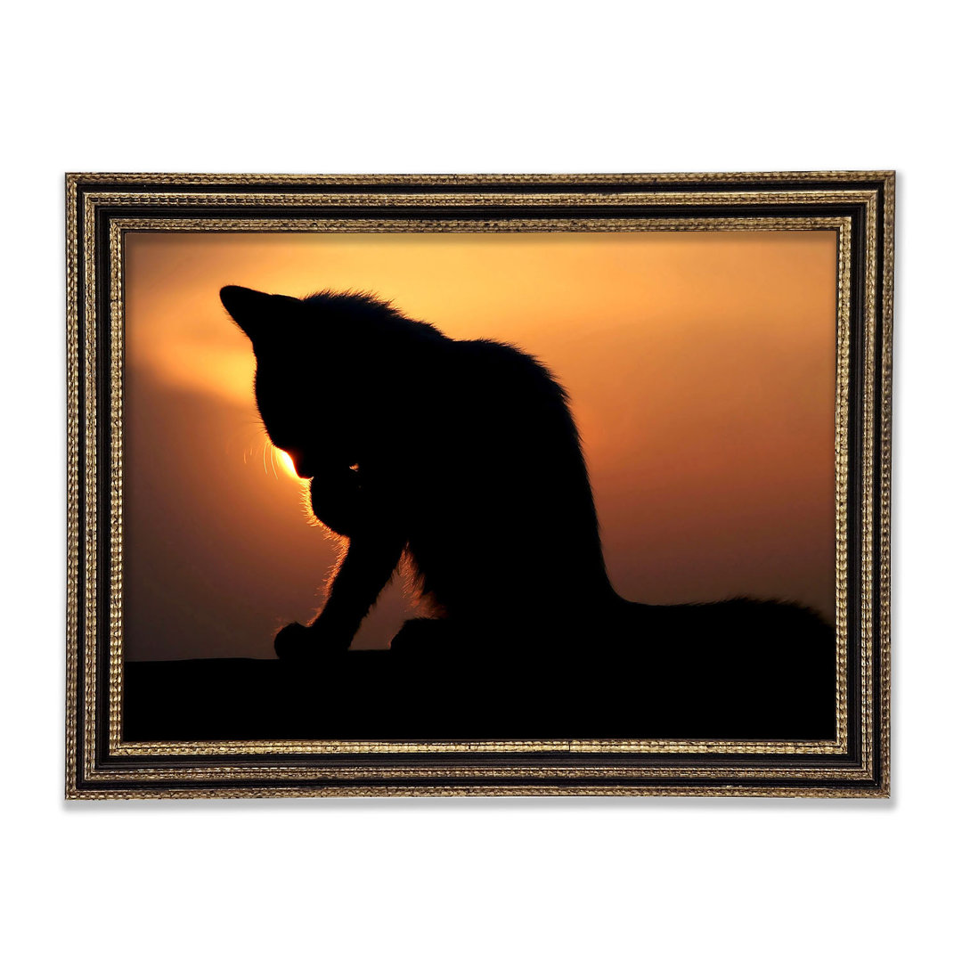 Cat In The Sunset - Einzelne Bilderrahmen Kunstdrucke