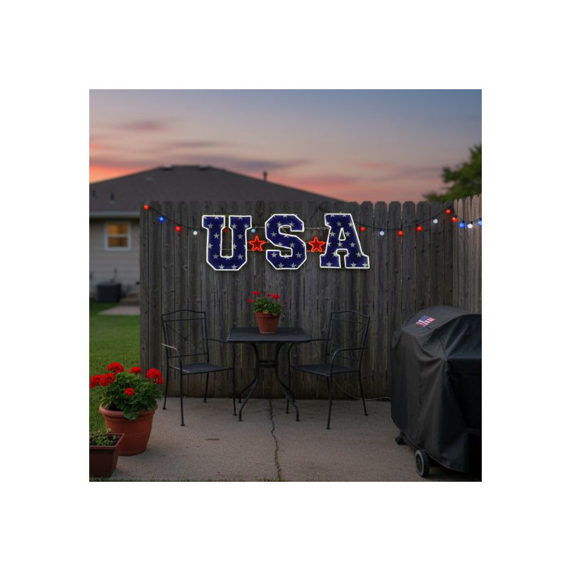 2D USA