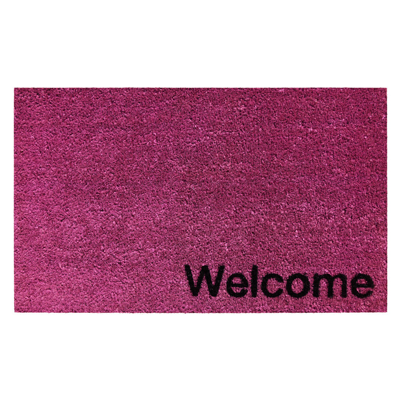 Tapis d'entrée antidérapant Kasper, L 24 po x L 36 po, Magenta