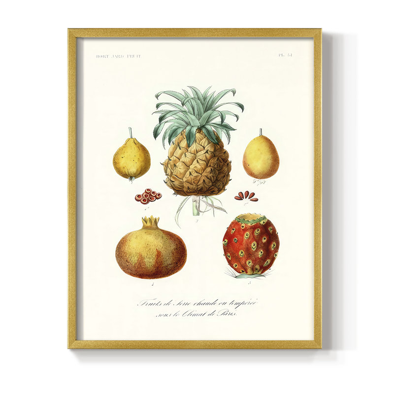 Fruit & Vegetable Varieties V Framed Print - Solid Wood, 30" H x 24" W, Gold