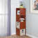 Neldean Storage Organizer Open Bookshelf