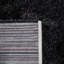 Amberjo Solid Colour Machine Made Power Loom Area Rug in Black-843915798
